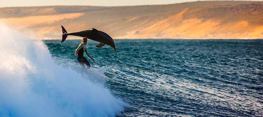 Surf en Australie